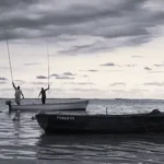 ¿Qué información aporta la matrícula de un barco?